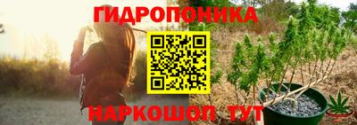 стаф Обь
