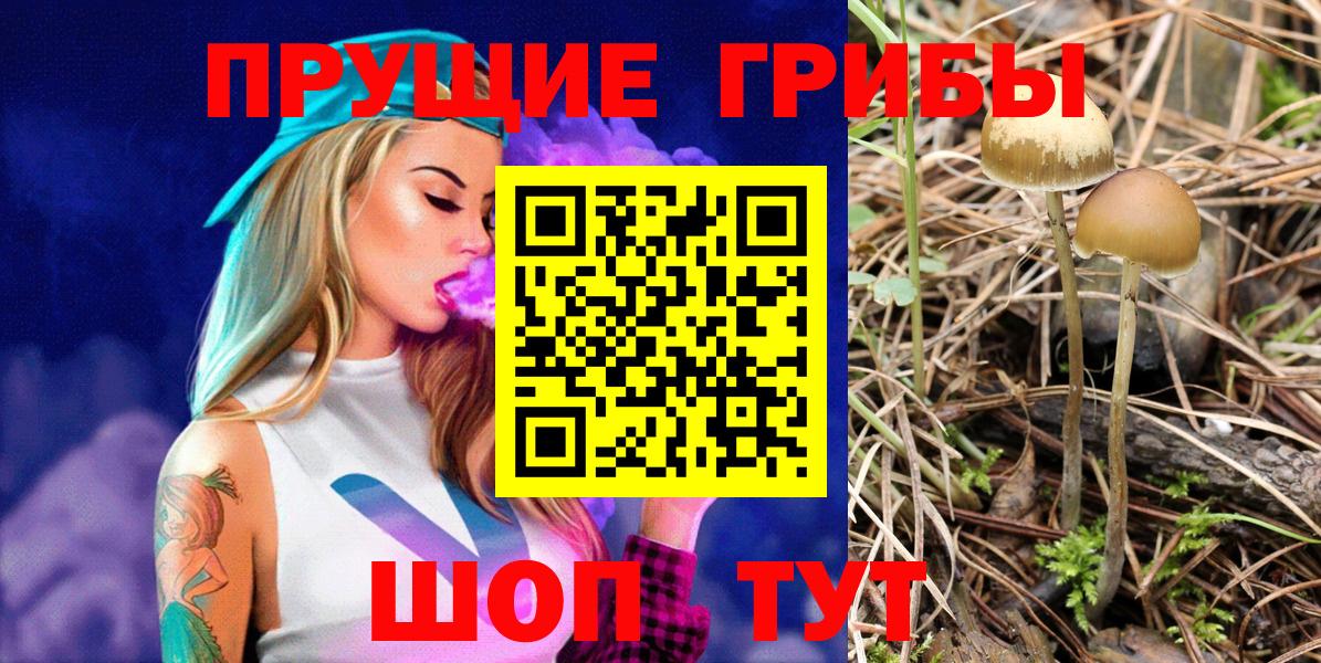 Галлюциногенные грибы Magic Shrooms Рубцовск