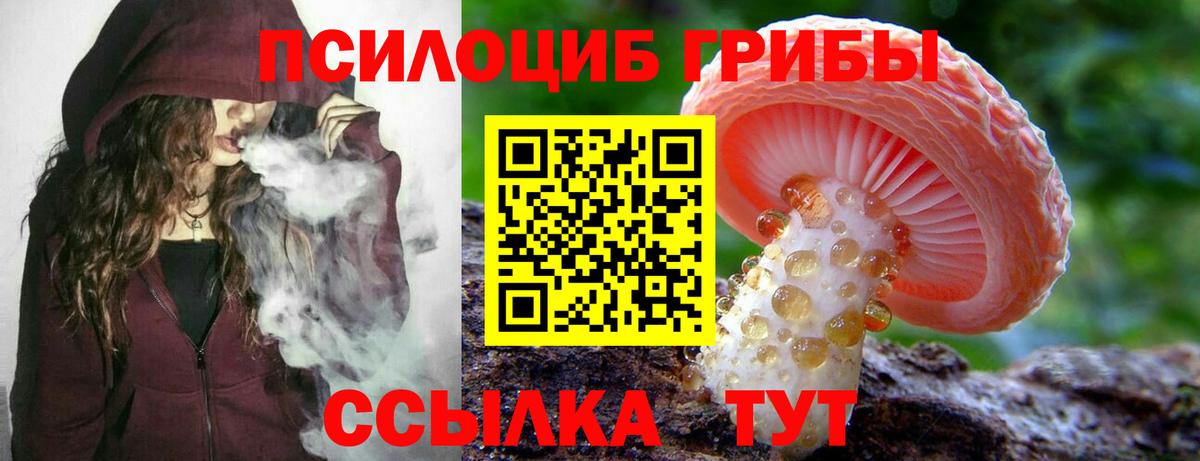 Галлюциногенные грибы MAGIC MUSHROOMS  Вход с VPN  Рубцовск  Галлюциногенные грибы Psilocybine cubensis 